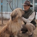 바둑이연구소 이미지