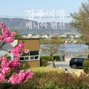 경주여행 위치 좋은 뷰가 예쁜 감성숙소ㅣ베니아펜션