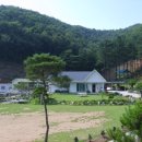 남사골