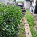 하나원주유소 이미지