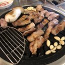 열정돼지 이미지
