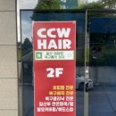 씨씨더블유헤어