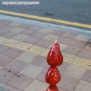 달콤왕가탕후루 목동점