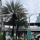 마켓21 (Market 21) | 6일 엄마랑 자유여행 2일차(터미널21(고메마켓, 피어21), 왕궁투어, SW1 MARKET, 빤타리, P-S 15...