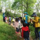 풍영초교 이미지