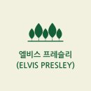 '엘비스 프레슬리 (Elvis Presley)'생애,업적,명언,어록인생은 고통이야 2023. 7. 5. 이미지