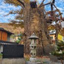 갑사주차장 공중화장실 | [충남 공주] 계룡산의 가을을 오롯이 품은 &#39;갑사&#39;