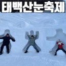 4834 | 2026년 태백산눈축제 방문후기 셔틀운행 주차정보