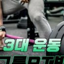 소녀스트렝스 이미지