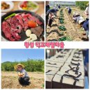 덕고마을 | 강원도 횡성여행 덕고 체험마을 한우 먹고 감자캐기 한우 선물세트 농촌크리에이투어