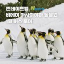 커넥트 엔 | 북해도 비에이 아사히야마 동물원 버스투어 완벽 가이드! 삿포로 출발 엔데이트립 후기