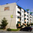 싸리말로 이미지