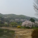 호암미술관 이미지