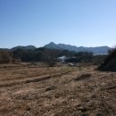 옥천 농장 이미지