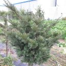 갈뫼농장 이미지