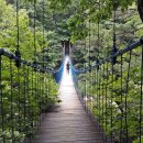 소똥령이야기 이미지