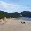 송평해수욕장 (해안도로) 이미지