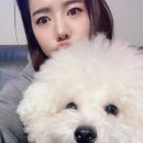 써니펫 이미지