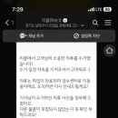 리클 - 17181 | 리클