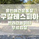 구갈레스피아_M 이미지