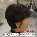코리아중년나이트 | 수원 인계동 미용실 여자 숏컷 잘하는 곳 추천 반포맘 중년여성 헤어스타일