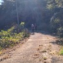 햇님달님민박 이미지