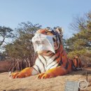 꼬꼬리치 옛날통닭 이미지