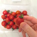 유기농청과 | 엑셀청과 유기농 대추 방울토마토 아기 간식 추천