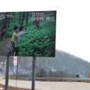 상갈래 도로변 이미지