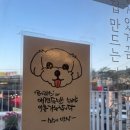 소수미반상 이미지