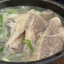 곰탕 설렁탕 이미지