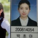 초아 카카오 검색결과