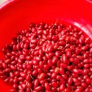 왕보리수 풍년입니다. 이미지