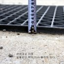 천변자전거도로 이미지