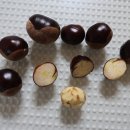 올림픽공원-한성백제박물관 이미지