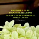 인스타PC 이미지