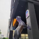 예스맨Before[2] KOICA 수험일지