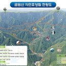 1331 이미지