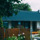 고요별서 | 책과 바다가 있는 고요한 남해의 하루 [남해 감성 숙소 | 고요별서 북스테이]