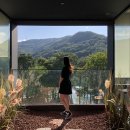 레드브릿지 이미지