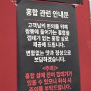 홍콩반점0410(신림점) | 홍콩반점0410 신서혁신점 내돈내산 솔직 방문후기