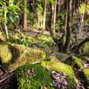 선인목장 이미지