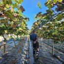 우금2농장 이미지