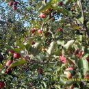 인곡경로당 이미지