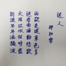 송인정보 이미지