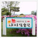 날으는곰나무공작소 이미지