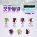 오하포도농원 이미지