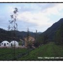 들길 따라서 이미지