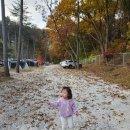 알프스농원 캠핑장 이미지