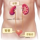하이닥터 이미지